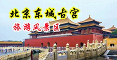 插入鸡鸡操黄片中国北京-东城古宫旅游风景区
